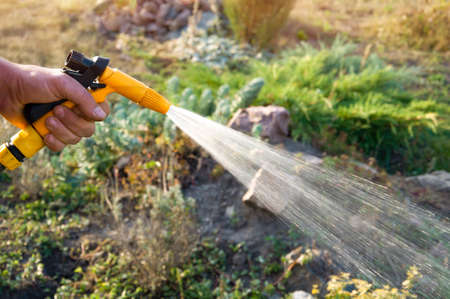 Male hand holding a hose and watering plants in the gardenの写真素材