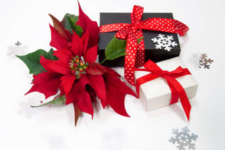 Christmas poinsettia flower and holiday gifts on white backgroundの写真素材