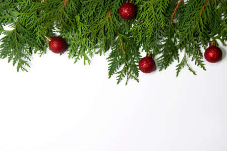 Thuja twigs and christmas red balls on a white backgroundの写真素材