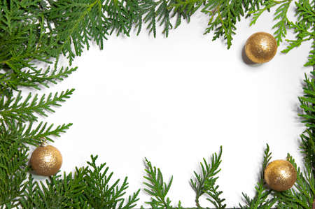 Thuja frame with christmas golden balls on white backgroundの写真素材