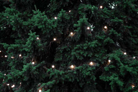 Bright garland on a big Christmas tree