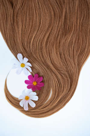 Cosmetic for hair and flowers for hair on a white background. Healthy and beautiful hair. Hair care. Copy space for textの写真素材