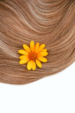 Healthy and beautiful hair flowers on a white background. Hair care. Copy space for textの写真素材