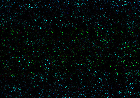 Abstract green and yellow bubbles. Holiday soft background with color circles.の写真素材