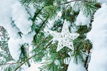 Christmas and New Year holidays background. Christmas decoration close-up on the branches of a snowy spruce in the forestの写真素材