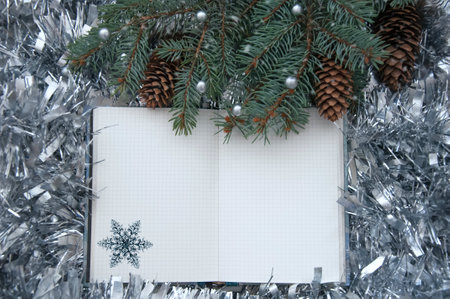 Christmas tree branches, cones, a notebook on a wooden texture.の写真素材