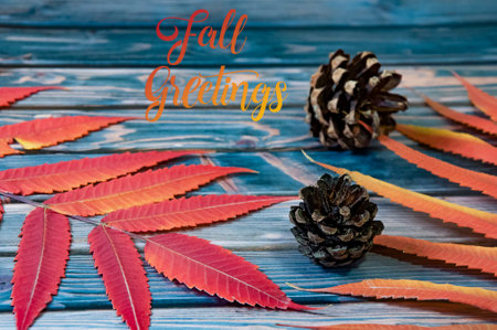 Sumac leaves on a wooden background. Autumn Thanksgiving Day. Inscription Fall Greetingsの写真素材