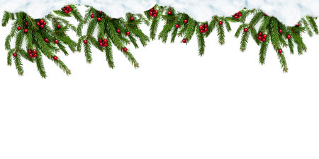 Branches of a natural Christmas tree with red balls on a white background. isolated image.の写真素材