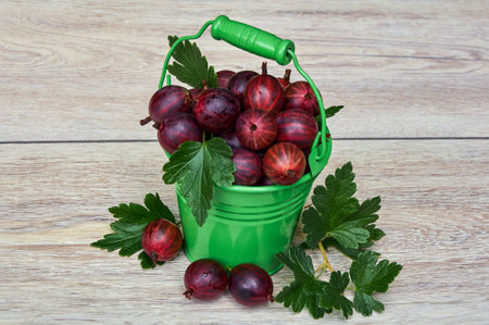 Red gooseberry in a small green bucket on a wooden backgroundの写真素材