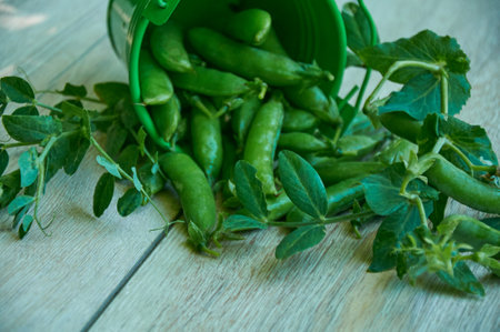 Green Peas in a Small Green Bucket on a wooden backgroundの写真素材