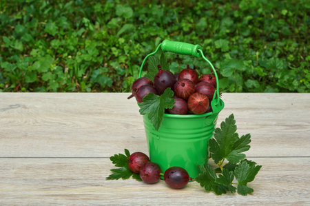 Red gooseberry in a small green bucket on a wooden backgroundの写真素材