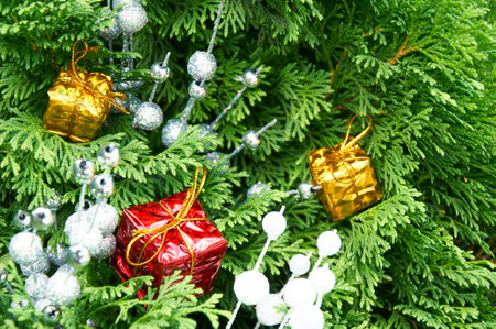 Christmas red decoration close-up on spruce branches. Christmas and New Year holidays background.の写真素材