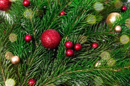 Christmas branch of natural spruce with red and gold balls close-up. Christmas background.の写真素材