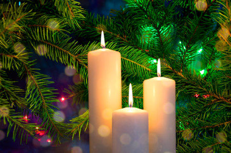 Christmas tree branches in bright lights. New Year color backgroundの写真素材