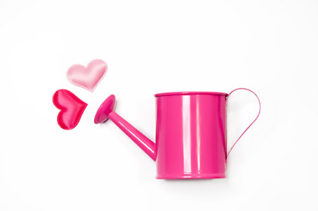Pink watering can and heart on white background. Valentine's day concept.の写真素材