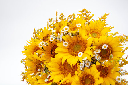 Bouquet of sunflowers isolated on a white background.の写真素材