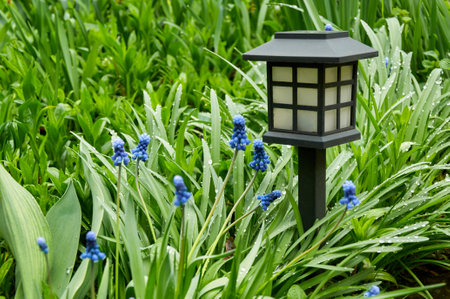 Garden light in the shape of a black box in green grass and blue flowersの写真素材