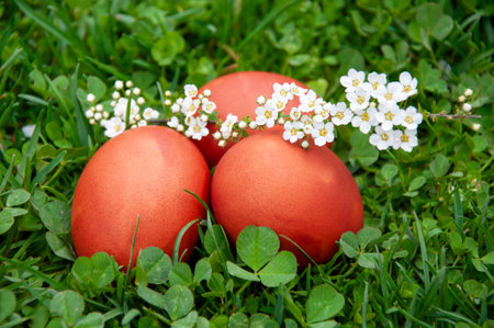 Easter eggs on green grass with white flowers in the garden.
