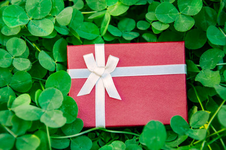Red gift box on green clover leaves background. St.Patrick's Dayの写真素材