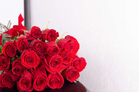 Red roses in drops of water, close-up, on a mirror table, on a white background . Background for congratulation.Greeting cardの写真素材