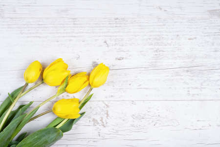 Bouquet of gorgeous yellow tulips on white wooden background. sample of spring flowers for your project. Mockup for greeting card. Congratulation concept.の写真素材