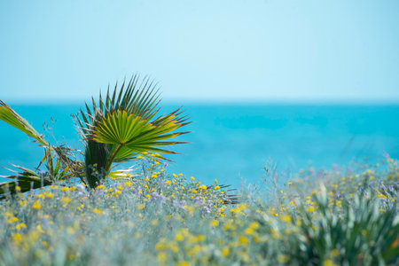 beautiful summer tropical background with blooming flowers, exotic plants and blue sea surface on the horizon in sun set, selective focus.の写真素材