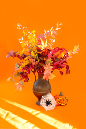 Autumn bouquet of red and yellow leaves in an antique copper vase and jack-o'-lantern, spider with cobwebs in sunbeams on an orange textile background.の写真素材