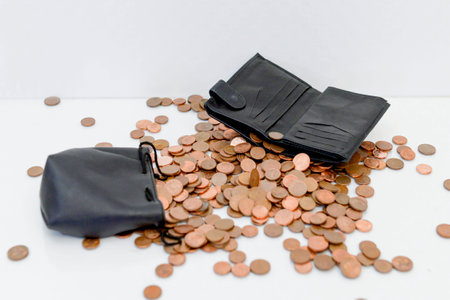 scattered on the table with small copper coins, euro cents and an open wallet, a leather wallet, and a piggy bank bag. concept of poverty, money crisis, small savings, remaining moneyの写真素材