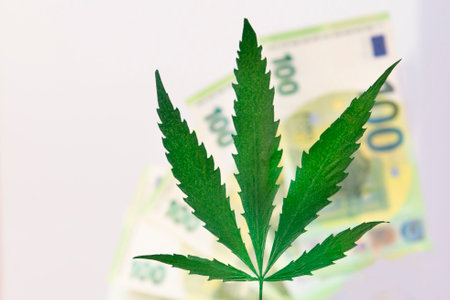 Close-up of a marijuana leaf against the backdrop of 100 euro banknotes, symbolizing the economic income of the cannabis legalization industry.の写真素材