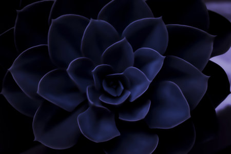 floral background of leaves dark purple blue succulent color of the year 2025 future dusk. Geometric leaf shapes, floral pattern of petalsの写真素材