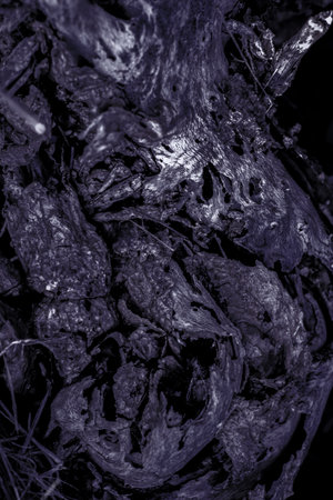 Abstract background of lines and geometric shapes of tree bark texture in color of the year 2025 future desk.の写真素材