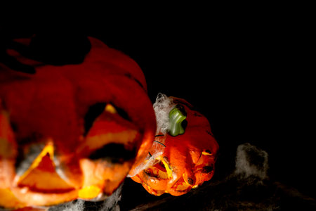 Glowing jack-o-lanterns with webs and spiders on a black background, home decoration for Halloween.