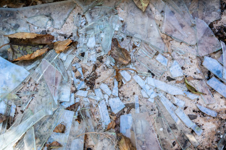 Shards of broken glass on concrete among dry leaves and earth. broken windowの写真素材