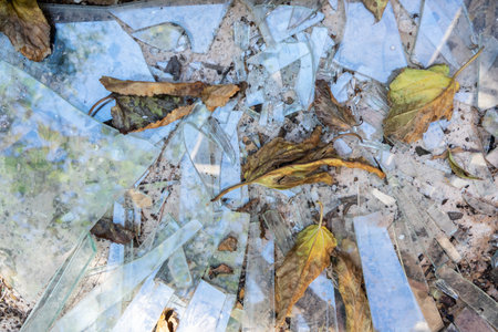 Shards of broken glass on concrete among dry leaves and earth. broken windowの写真素材