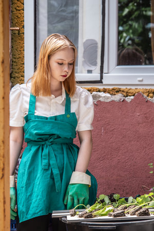 A young woman in gardening gloves and an apron carefully plants cucumber seedlings near her house on a sunny dayの写真素材