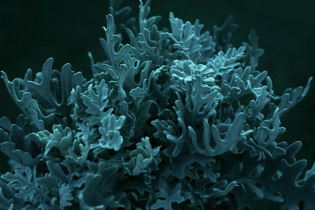 Plant leaves with textured and abstract shapes and natural patternsの写真素材