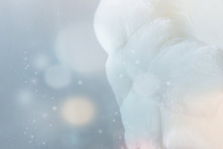 w Year's Christmas background in 2026 colors with spots, snowflakes, blocks, glitter, and light effects. winter backgroundの写真素材