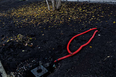 Autumn leaf and trees soil and grassの写真素材