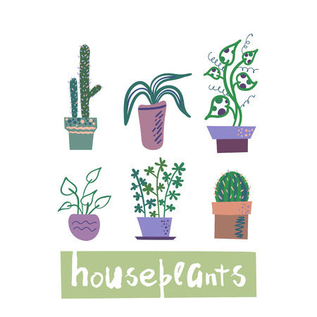 Vector set of houseplants on white background. Simple flat style, in soft colors.の写真素材