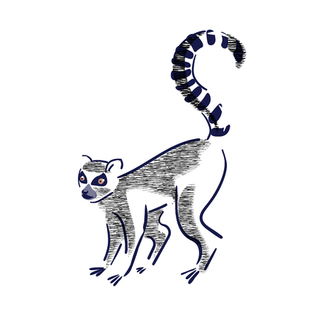 Silhouette of lemur catta  on a white background.Wildlife,enviroment protection. Vector...