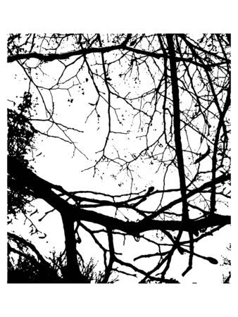 Grunge overlay texture. Dirty branches vector  background.のイラスト素材