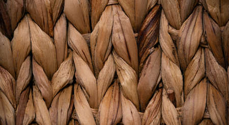 background of textured dry wicker grass close upの写真素材