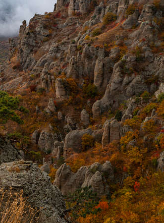 landscape mountains in autumn trees of yellow and orange color and fogの写真素材