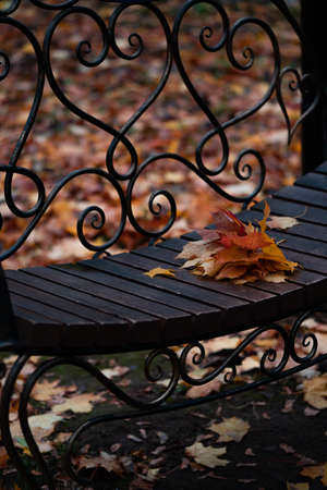 wooden bench in the park, with autumn orange leaves lying on topの写真素材