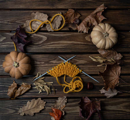 dry leaves lie in a circle with pumpkins and knitting, yellow and brown natural colors, autumn moodの写真素材