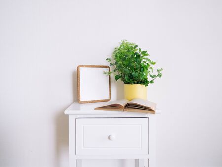 text sign card, book and green plant on white wooden rustic table with space for textの写真素材