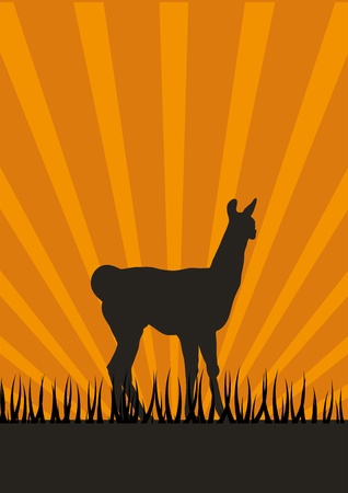 Lama silhouetteのイラスト素材
