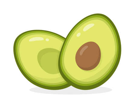 Icon of an avocado isolated on a white background. Avocado cut in half. Avocado fruit in a flat design. Cute illustration.の写真素材
