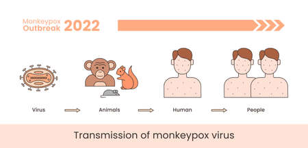 Monkeypox virus transmission banner concept. Vector line illustration isolated on a white background.のイラスト素材