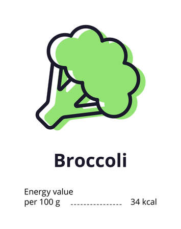 Healthy vegetarian product icon. A tasty broccoli icon. Energy value of broccoli. Illustration on white background.の写真素材